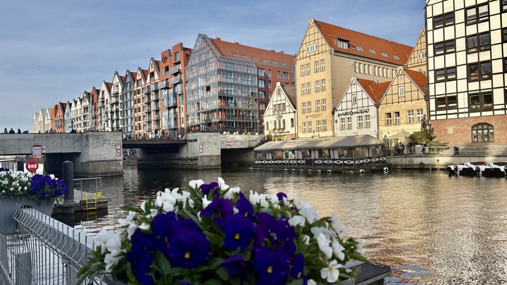 2025-05-01-18-26-27.jpg