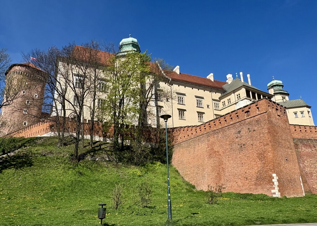 2025-04-20-10-15-50.jpg