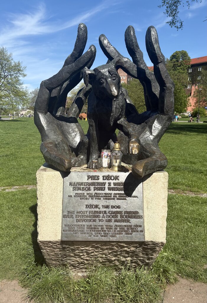 2025-04-20-10-53-24.jpg